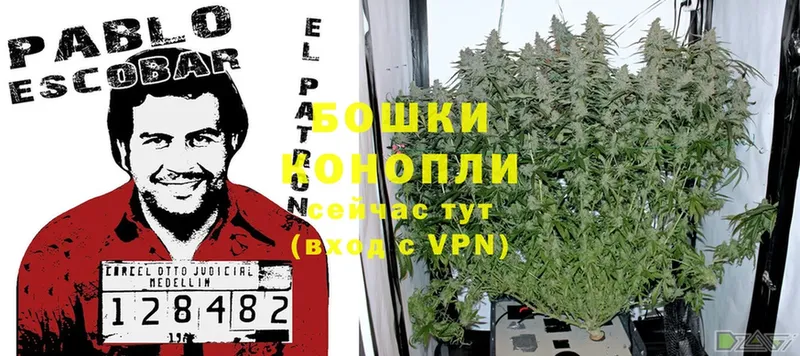 Марихуана Ganja  Кяхта 